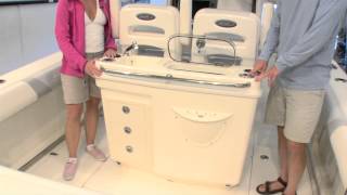 New England Boating Features Boston Whaler 250 Outrage