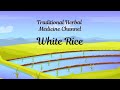 Traditional Herbal Medicine Channel: White Rice