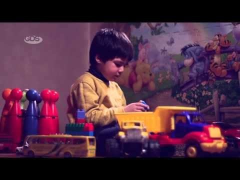 GD პედია - 27  თებერვლის ანონსი