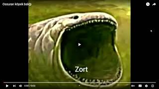 Ossuran Köpek Balığı Youtube Google Chrome 2022 01 21 15 40 11