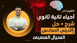 تانيه ثانوى محاضره 8✨السيال العصبى : الراحه،اللاإستقطاب،العوده للراحه،خصائص السيال،التشابك العصبى🦾