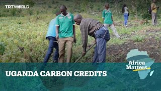 Africa Matters: Ugandan smallholders doubt benefits of carbon farming
