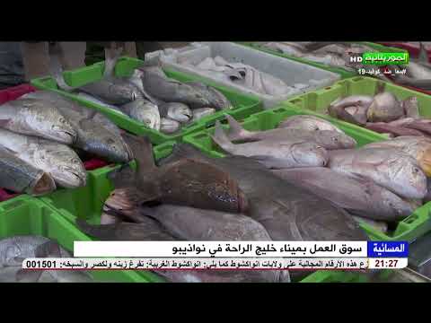 سوق العمل بميناء خليج الراحة في نواذيبو