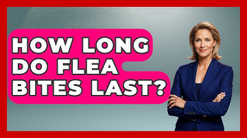 How Long Do Flea Bites Last? - Insects and Invaders