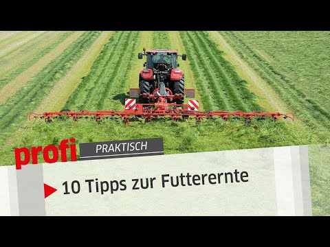 Video: Macht Triticale gutes Heu?