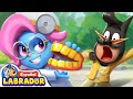 🔍Sheriff Labrador - Los Dentistas No Dan Miedo 🦷🪥 | EP 88 | Videos para Niños | BabyBus en Español