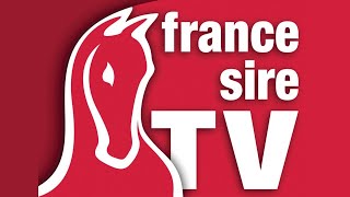 Lot 315 à 489 - Arqana : Vente de Yearlings v.2 2023