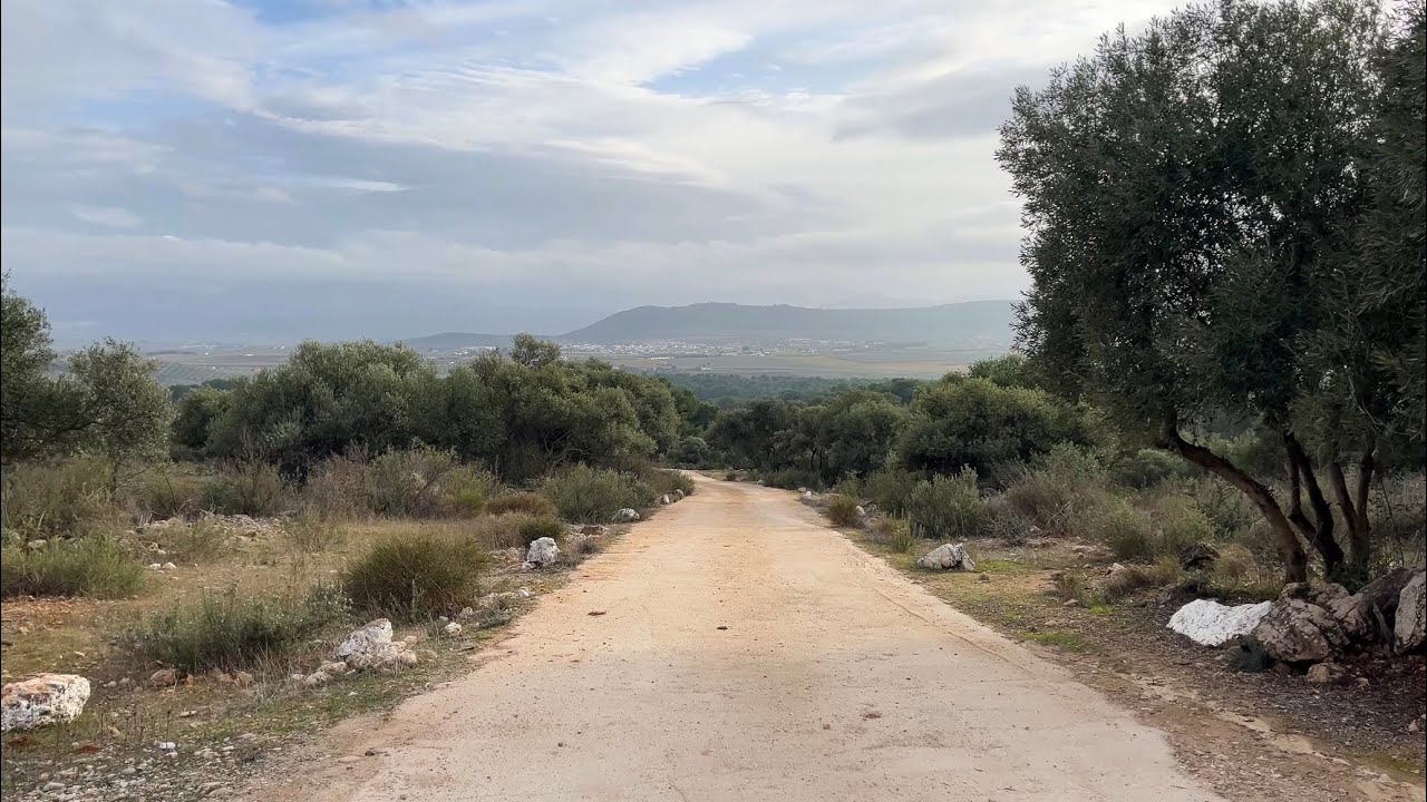 Virtual Walking Workout 4K – Fuente de Piedra Scenic Countryside Route | Treadmill Walk POV