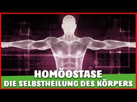 Video: Unterschied Zwischen Allostase Und Homöostase