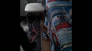 Sonunu Kesin izle!Water Bottle Flip #Şişe Döndürmece#pro oldum sonunu kesin izle screenshot 3