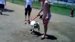 VID 00025-20100425-1406.3GP