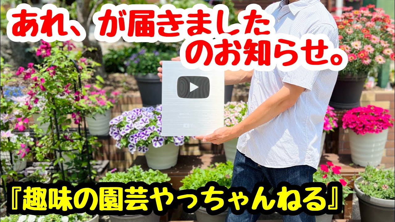 ◇YouTubeからの贈り物『皆さんのおかげです記念』届きました。 - YouTube