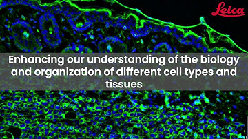 Cell DIVE: Transforming Tissue Research with Open Multiplexing