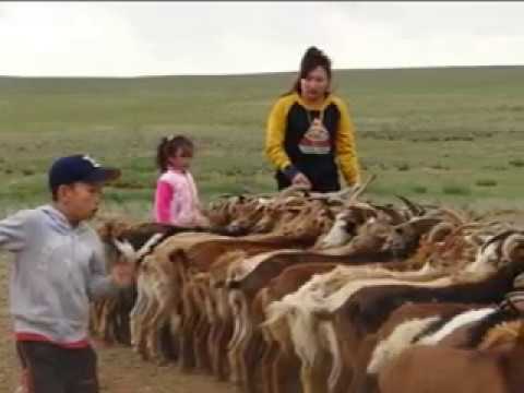 hairiin deed hani mini mp3