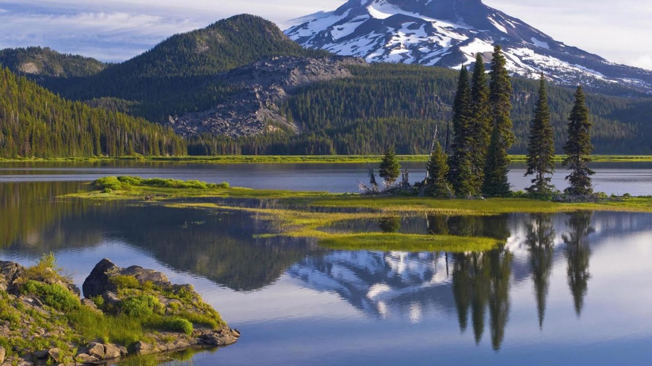 Invatand de la Elisei - Filip Neag