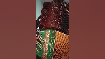Thumbnail of mi piquito de oro - Ramón Ayala 🪗
