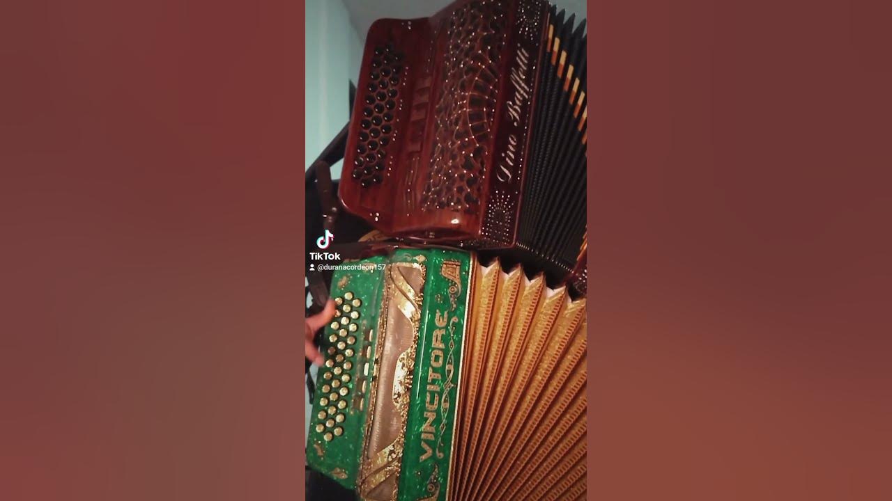 mi piquito de oro - Ramón Ayala 🪗
