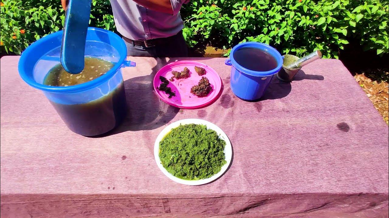 dashparni-ark-preparation-natural