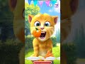 talking ginger gameplay funny cat video talkingtomversion talking ginger gameplay funny cat video talkingtomversion