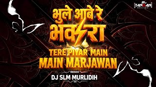 Bhule aabe Re bhanwra X Tere Pyar Mein Main Mar Java Cg remix dj sl tandan