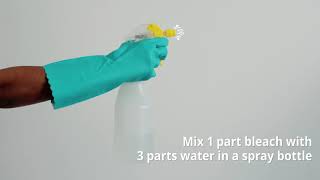 How To Remove Mould And Mildew From Your Walls Cleanipedia