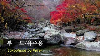 [색소폰연주] 부  모/유주용. Saxo cover W. Peter