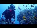 西伊豆海底熟成ワイン　作業動画