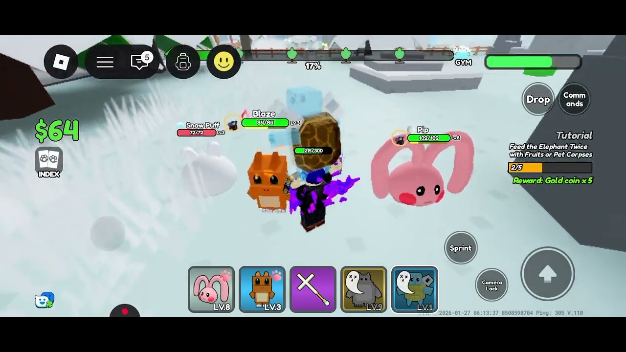 I play a new game in roblox|pinpointgamingyt