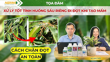 SẦU RIÊNG ĐI ĐỌT KHI TẠO MẦM - CÁCH CHẶN ĐỌT AN TOÀN