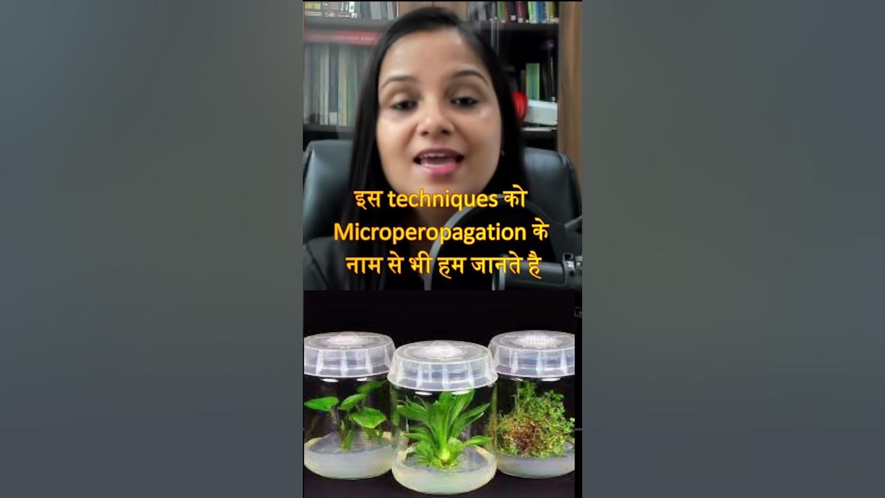 tissue-culture-plant-tissue-culture-micropropagation-class-12