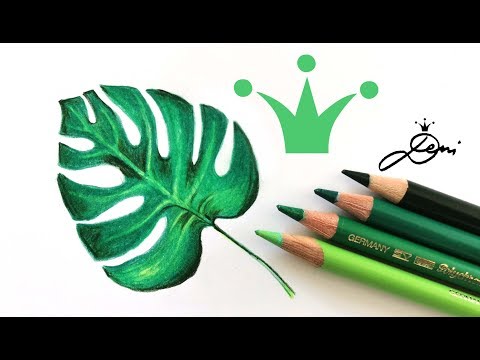 Video: Wie Zeichnet Man Ein Blatt