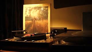 The Free Movement – The Harder I Try (1971)