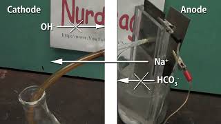 Make Sodium Hydroxide by Electrolysis with a Nafion Membrane Cell