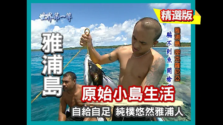 【密克羅尼西亞】探訪純樸Waqab 雅浦島(道地雅浦料理\全島最大漁市\捕魚開工儀式\珊瑚礁魚\Tuba Juice)｜《世界第一等》162集小馬精華版 - 天天要聞