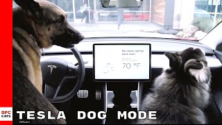 Introducing dog mode: set a cabin temperature to keep your comfortable
while letting passersby know they don't need worry. this is in
addition exis...