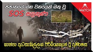 ජපානයේ මහ වනයෙන් මතු වූ SOS සලකුණ | කාන්තා ඇටසැකිල්ලක් පිරිමියෙකුගේ වූ අභිරහස