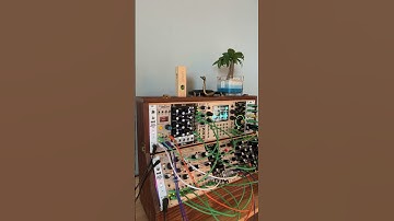 intellijel designsのplonkでピコピコしてみました#akisai #modularsynth #モジュラーシンセ #eurorack