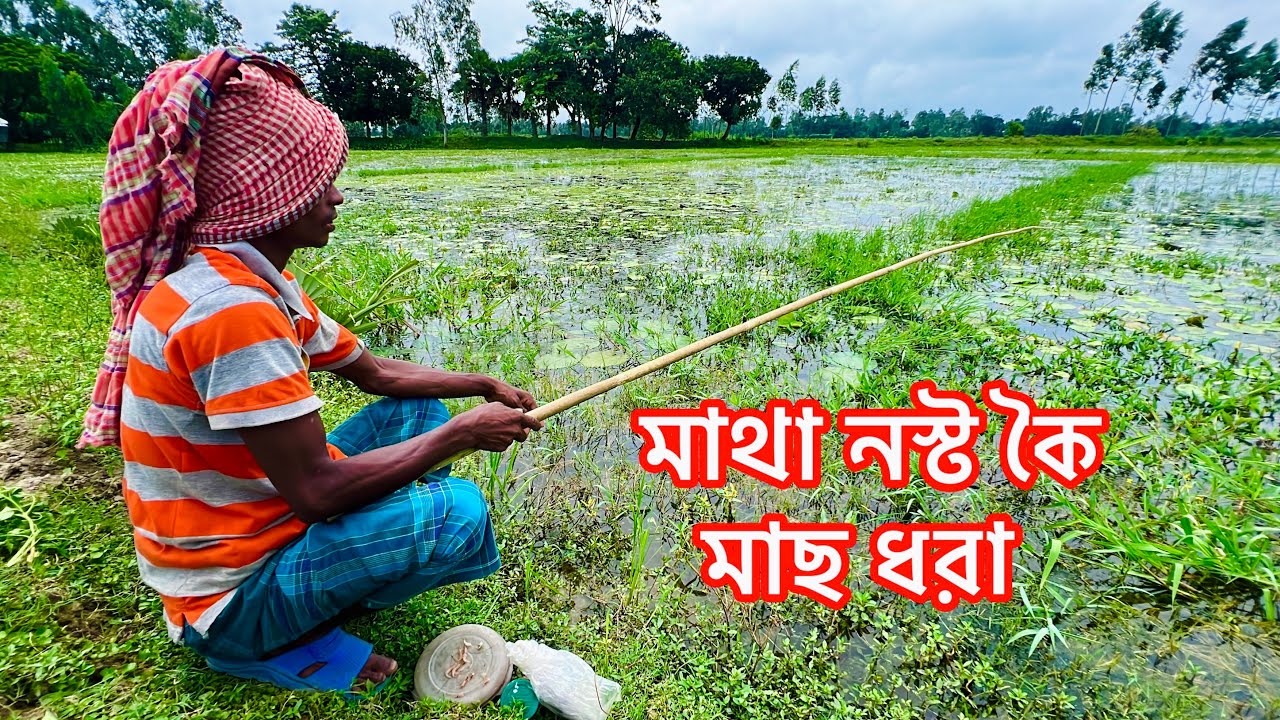 Traditional Hook Fishing By Bamboo Rod✅ Fish Hunting মাথা নস্ট কৈ মাছ ধরা 