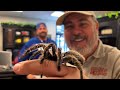 Facing His Biggest Fears Ever 😱 (Scorpions, Tarantulas, Alligators &amp; More)