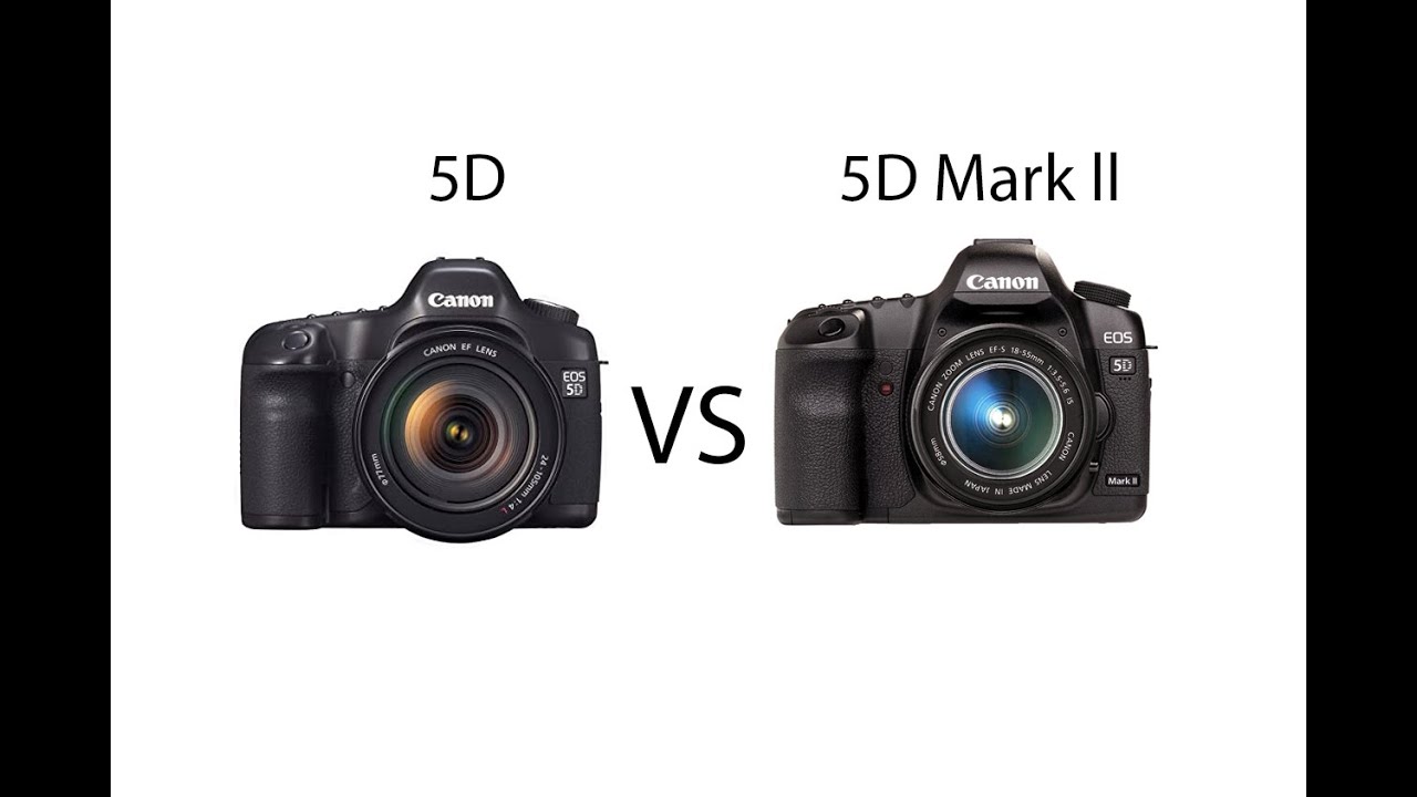 5d vs mark. Сравнение фото 600d и 5d. 5d Mark 3 vs 5d Mark 4 сравнение фото. 5 Vs 2.