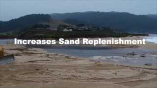 New life for the Carmel River