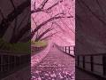 Places On The Earth That don't Feel Real #travel #nature #explorepage