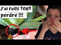 😱 ALOE VERA : ma plus grosse erreur ! 7 CONSEILS pour cultiver votre propre plante | TUTO facile 😱