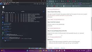 7th Assignment | Linux Commands