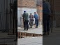 #shorts #la #danza #de #los #viejitos #video #viral