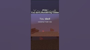 POV: You are a Wandering Trader - Minecraft