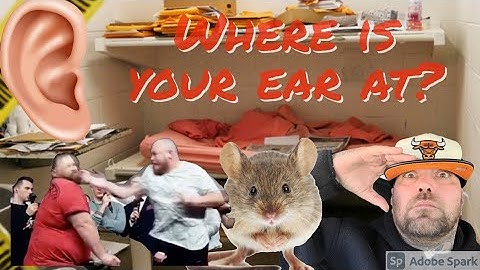sickest, craziest things I saw in prison. vol 2 #prison #PrisonStories #mice #LifeInPrison