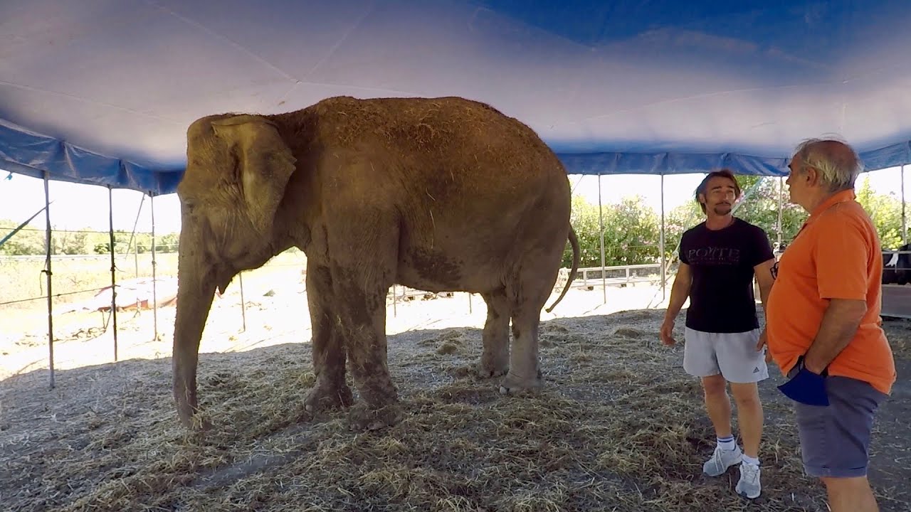 Un Mondo dove tutti tornano bambini...