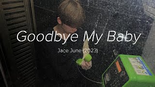 goodbye My Baby  Jace Junes U0026 Japanese Sub