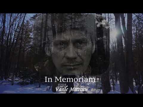 The Last Viking - by CMB